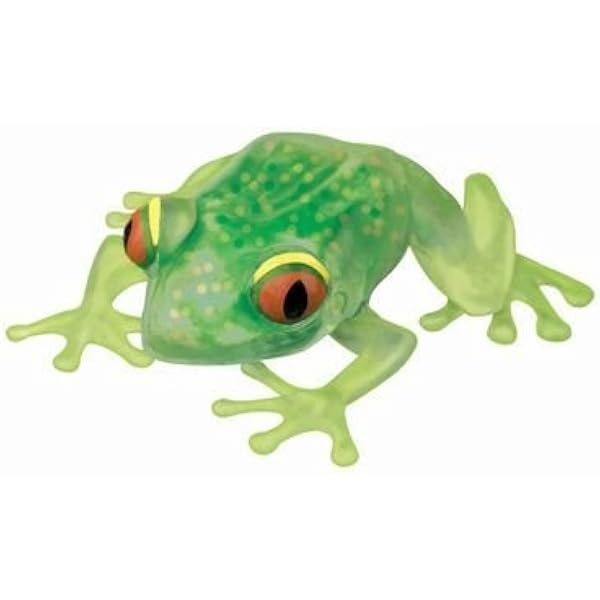 squishy frog