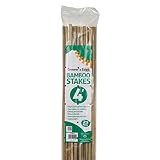 Grower's Edge 740730 Plant Support, 4 Ft
