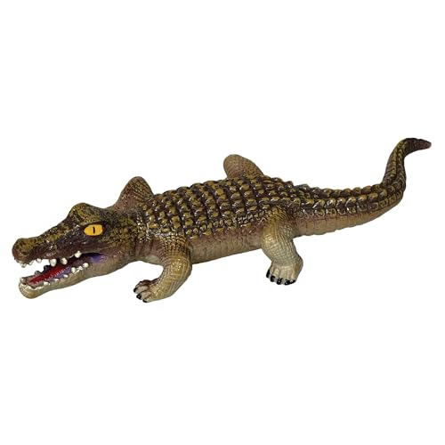 Alligator
