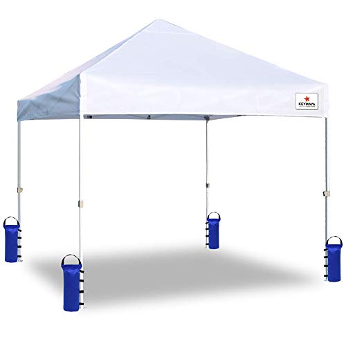 Keymaya Heavy Duty Outdoor Pop Up Canopy Tent Gazebo Weight Sand Bag Anchor Kit 4 Pack (Single with Handle, Blue)