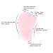 Top Plaza Gua Sha Scraping Massage Tool 100% Hand Made Natural Rose Quartz Jade Guasha Board SPA Acupuncture Therapy Massage Stones-Set of 5