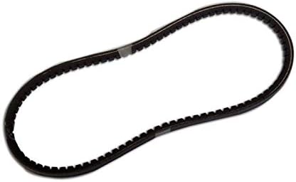 SAKAWA Correa MOTOAZADA 2 VELOCIDADES: Amazon.es: Jardín