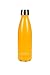 Element Stainless Steel Water Bottle Double Wall Vacuum Insulated 17 oz with Bonus Gift Box