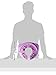 Disney Minnie Mouse “Bowtique” Folding/Travel Potty Seat for Toilet Training Kids, Purple, 11.5x1.25x14 Inch (Standard)
