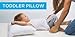 Travel Pillow Case 12x16 Size Egyptian Cotton Set of 2 Zipper Closure Toddler Pillowcase 600 Thread Count 100% Egyptian Cotton Pack of 2, Travel Pillow Cover 12 x 16, Dark Grey Solid