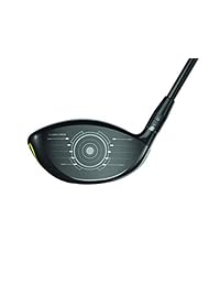 visitante Golf 2019 - Flash driver