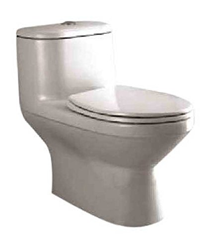 Parryware Sofia C841d Ceramic Closet White Two Pieces Amazon In