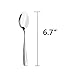 Cand 16 Pieces Stainless Steel Dessert Spoons, 6.69-Inch