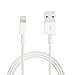 BE-conneted Fit for iPhone 7/7 Plus/6s Plus/6s/and also Apple 5/5S/6/5C/5 Lightning USB Cable Charger, 2 Piece