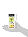 Gourmet Fries Seasonings Bottle Sour Cream & Onion, 9 Ounce