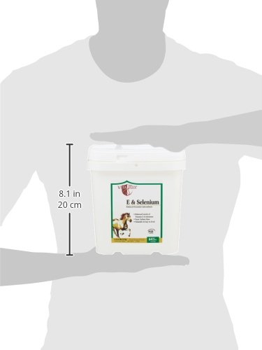 Vita Flex, E and Selenium Balanced Essential Antioxidants - 4lbs, 64 Day Supply