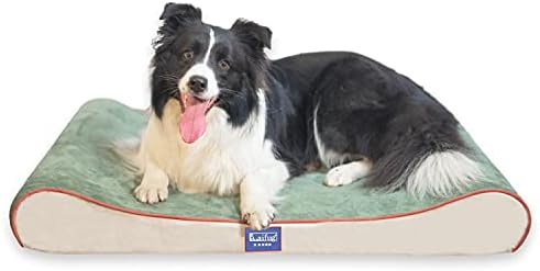 laifug dog beds