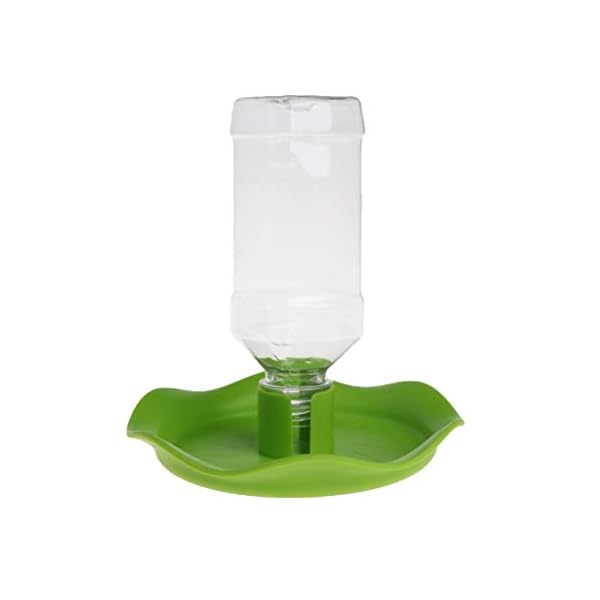 Balacoo-Rettile-Acqua-Automatico-Alimentatore-Bacino-Fontanella-Rettile-Acqua-Bottiglia-Tartaruga-Lizard-Acqua-Alimentatore-Vassoio Balacoo Rettile Acqua Automatico Alimentatore Bacino Fontanella Rettile Acqua Bottiglia Tartaruga Lizard Acqua…