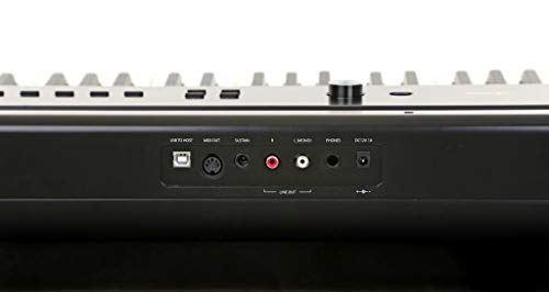 Artesia PA-88H 88-Key Weighted Hammer Action Digital Piano with Sustain Pedal and Power Supply, Black