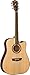 Washburn WD20 Series WD20SCE Acoustic Electric Guitar