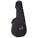 Godin Acoustic Guitar Case (40087)