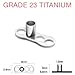 14GA G23 Solid Titanium Three Hole Microdermal Piercing Dermal Anchor (3mm Post)