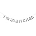 LINGTEER I'm 20 Funny Birthday Silver Glitter Bunting Banner,Cheers to 20 Years Old Twenty Birthday Party Decorations Gift Backdrop Sign.