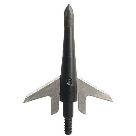 31pCAqg%2BXjL.jpg