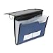 Pendaflex 52670 Professional Expanding Document Organizer, Letter, 7 Pockets, Blue (PFX52670)
