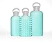 bkr BPA-Free Silicone Sleeve Glass Water Bottle - Holiday - Sheer Vacation Blue, 16 Ounce(Pack of 1)