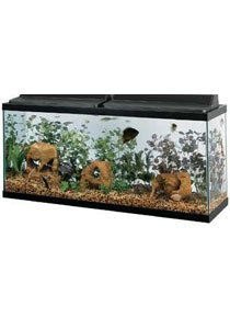 All Glass 55-Gallon Aquarium - Image 3