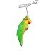 Set of 10 Beach Party Summer Garden Patio Colorful Tropical Parrot Bird Christmas Lights-White Wire