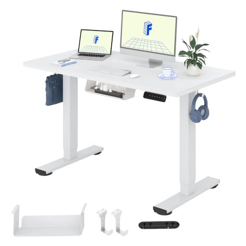 FLEXISPOT Höhenverstellbarer Schreibtisch Basic 120x60cm