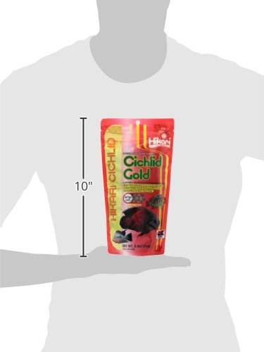 Hikari 8.8-Ounce Cichlid Gold Floating Pellets for Pets, Large