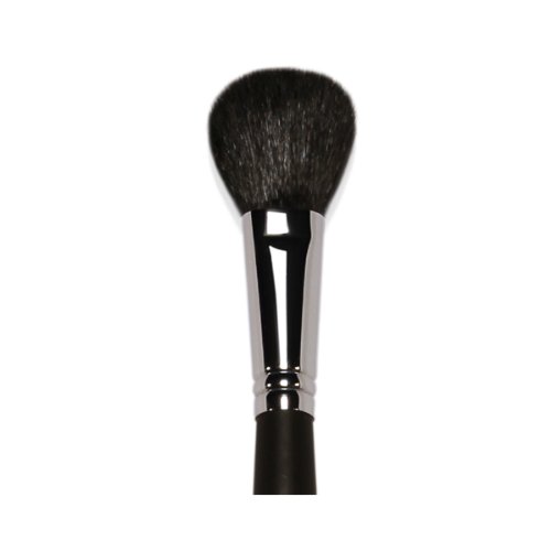 NUNU Makeup Pro Makeup Brush set 12 with Luxury Case