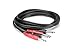Hosa CPP-203 Stereo Interconnect, Dual 1/4 Inch TS to Same, 9.8 Feet