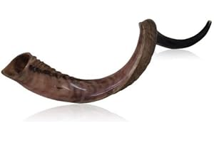 Shofarot Israel Kosher Yemenite Kudo kudu Shofar Jumbo Size 42"- 44" Half Polish