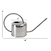 HENSITA Silver Stainless Steel Mini Watering Can for Indoor/Outdoor Plants, Perfect for Succulents, Bonsai, and Decoration