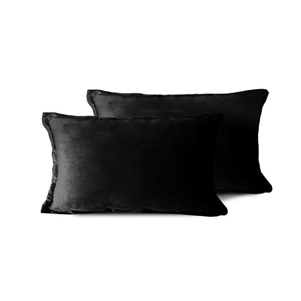 EDOW Velvet Throw Pillows (Set of 2), Soft Fluffy Down Alternative