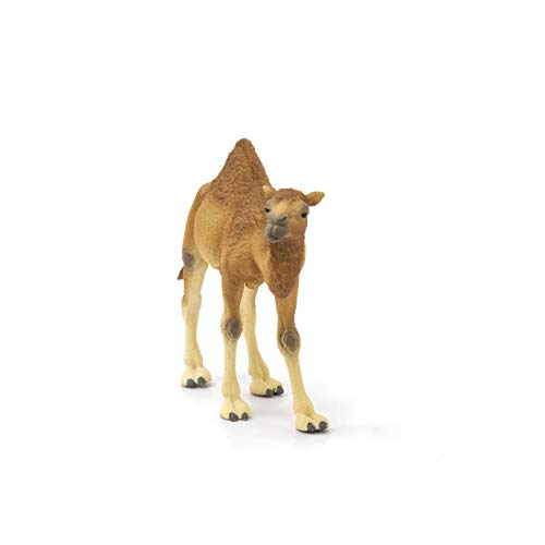 schleich WILD LIFE | Dromedar 14832 | detailgetreue Tierfiguren | Zoo Spielzeug | ideales Geschenk für Jungen und Mädchen | Deko für Geburtstag | Spielfigur ab 3 Jahren | 14 x 4 x 10 cm – Bild 5
