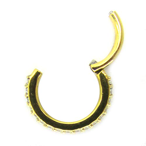 NewkeepsR 16G 6mm(1/4'') Gold Anodized 316L Steel Hinged Clicker Segment Ring Pave Set with Clear Sparkling CZ Gems