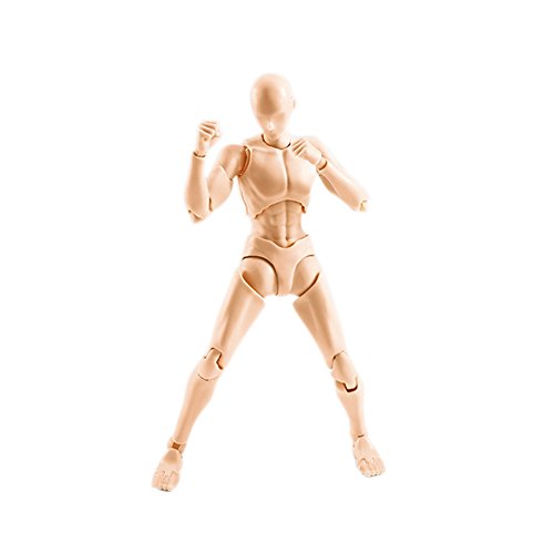 Action Figure Model, Tulas Male/Female Body Chan Kun Doll with Accessories Kit for Drawing, Sketching, Painting, Artist,Youth Jersey Cartoon