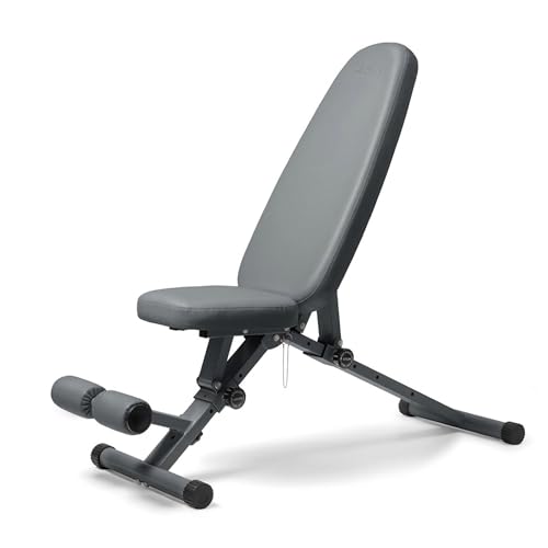 WeGym Fitness Bench, Adjustable, Collapsible, Comfortable, and Luxurious Home Gym Bench for Strength Training