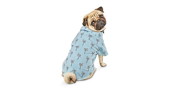 bond and company dog clothes