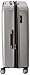 DELSEY PARIS Titanium Hardside Expandable Luggage with Spinner Wheels Checked Luggage, Silver, Checked-Large 29 Inch