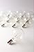 Brillante Replacement Bulbs for G40 Globe String Lights - E12 Socket, Candelabra Base (25 Pack of Clear 5 Watt Incandescent Bulbs)
