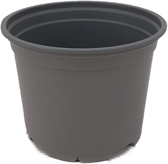 Nutley's Round Modiform 18cm Grey Plastic Plant Pots, 3 litres (Pack of 10)