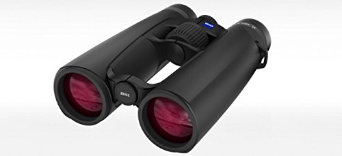 Zeiss Victory 10x42 SF Binoculars 524222