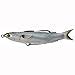 LIVE TARGET Mullet Hollow Body Swimbait