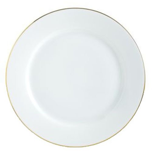 Charter Club Plates. Charter Club Holly Berry 9.5" Salad Plate [Set of 4].