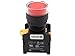 Alpinetech LXG-22 22mm 1NC 1NO Momentary Push Button Switch 110V LED Illuminated (Red)