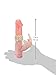 Classic Rabbit Vibrator
