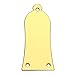 Kmise Z5229 Gold Plated Metal Truss Rod Cover Fit Epiphone Les Paul & SG Replacement Plus Screw