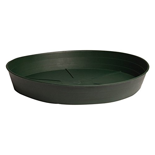 Hydrofarm HGS14P Garden Saucer, Green, (14-Inch), Pack of 10