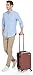 AmazonBasics Premium Hardside Spinner Luggage with Built-In TSA Lock - 20-Inch Carry-on, Red